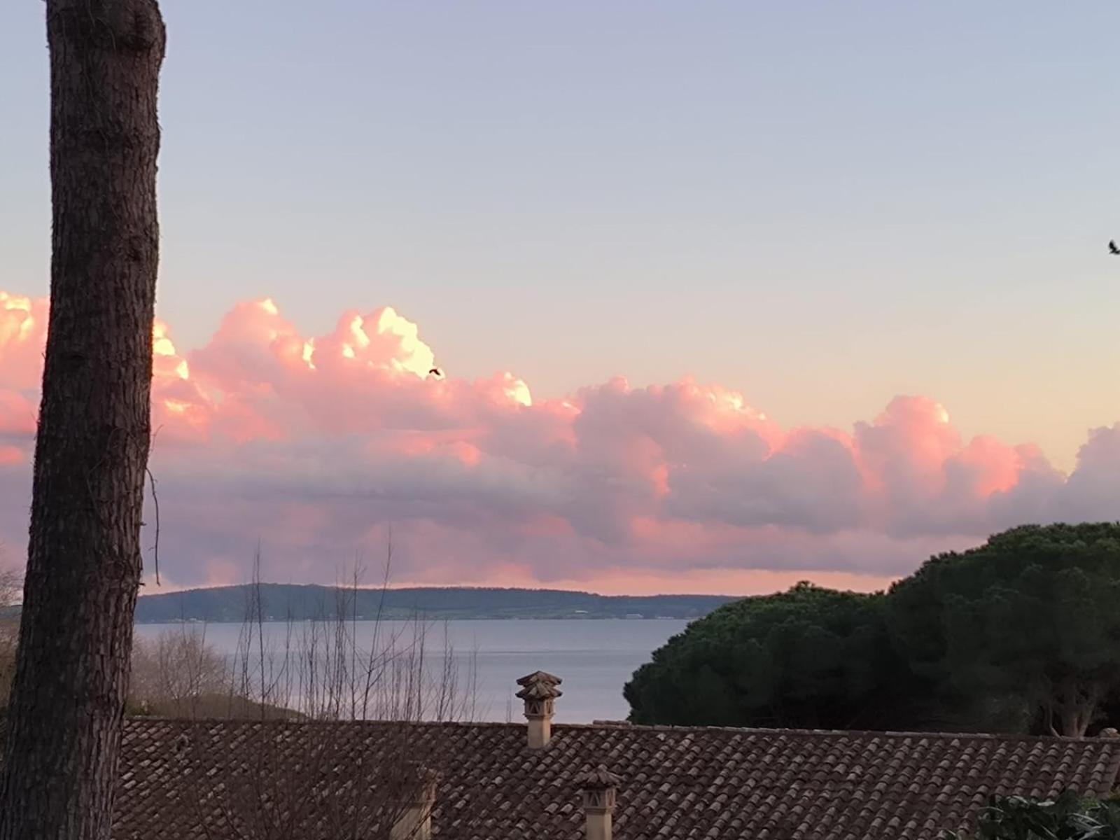La Perla Di Trevignano Daire Trevignano Romano Dış mekan fotoğraf